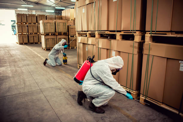 Best Emergency Pest Control  in Pierce City, MO