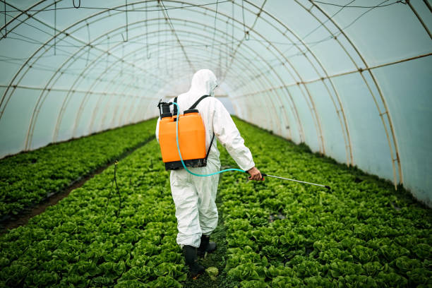 Best Pest Removal Services  in Pierce City, MO