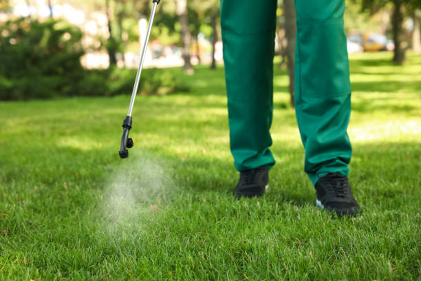 Wildlife Control Services in Pierce City, MO