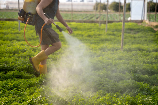 Best Residential Pest Control  in Pierce City, MO