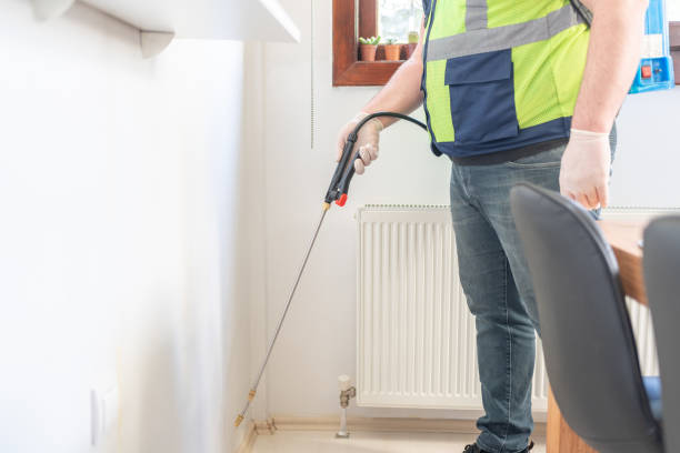 Best Local Pest Control Services  in Pierce City, MO