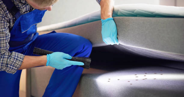 Best Pest Prevention Services  in Pierce City, MO