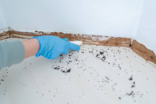 Best Best Pest Control Companies  in Pierce City, MO